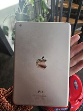 Apple iPad Silver Back with Apple Logo